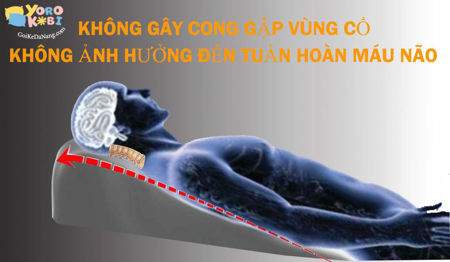 Hình ảnh nhóm sản phẩm Nên chọn gối chống trào ngược kích thước nào?